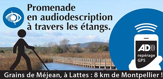 Sur smartphone : promenade en audiodescription à travers les écrans.